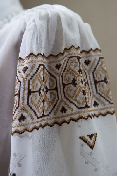 Терра Благословенна - фрагмент 2 - Фрагмент блузи жіночої  