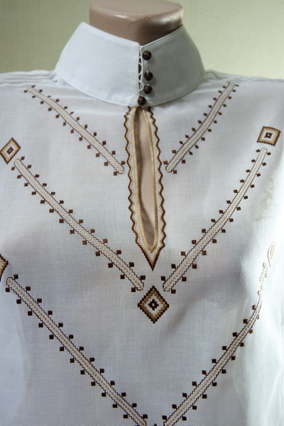 Терра Благословенна - фрагмент 1 - Фрагмент блузи жіночої  