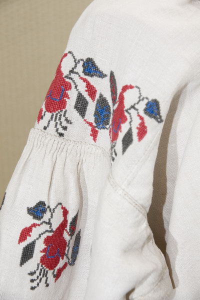 Вишивана Київщина - фрагмент рукава - Фрагмент костюму традиційного 