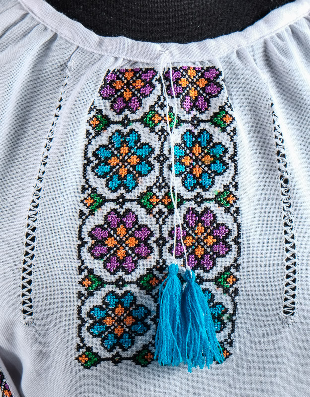 116-08 фрагмент - Блуза жіноча. Домоткане полотно, машина вишивка (борщівська).